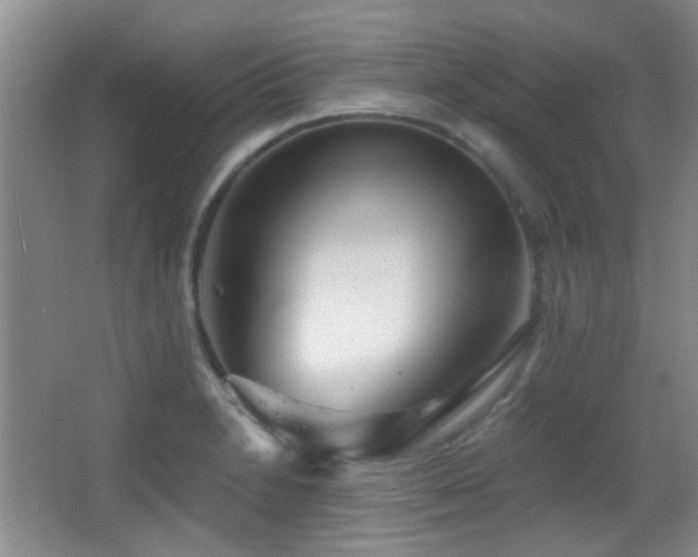 X0000066971230200603241202