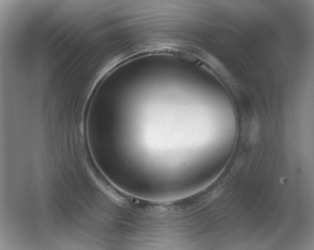 X0000066971234200603241202