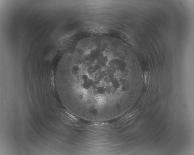 X0000066971251200603241201