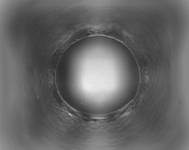 X0000066971253200603241201