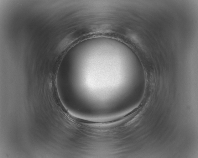 X0000066971257200603241201