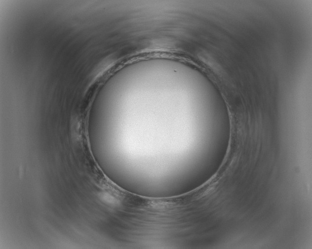 X0000066971258200603241201