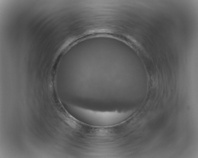 X0000066971266200603241201