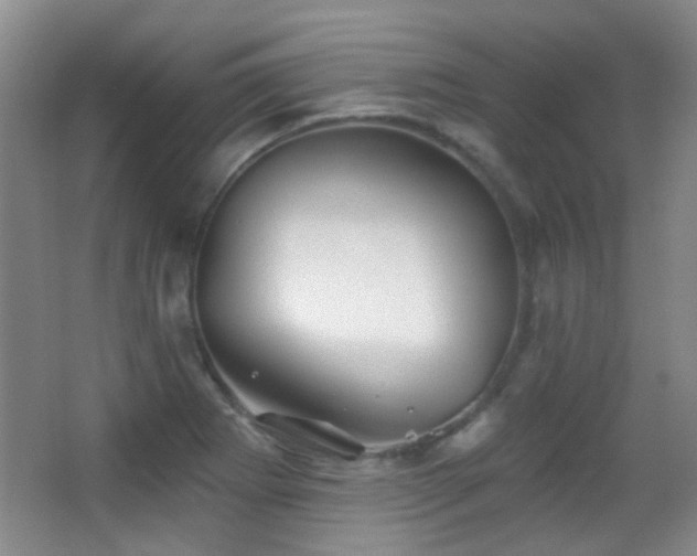 X0000066971273200603241201