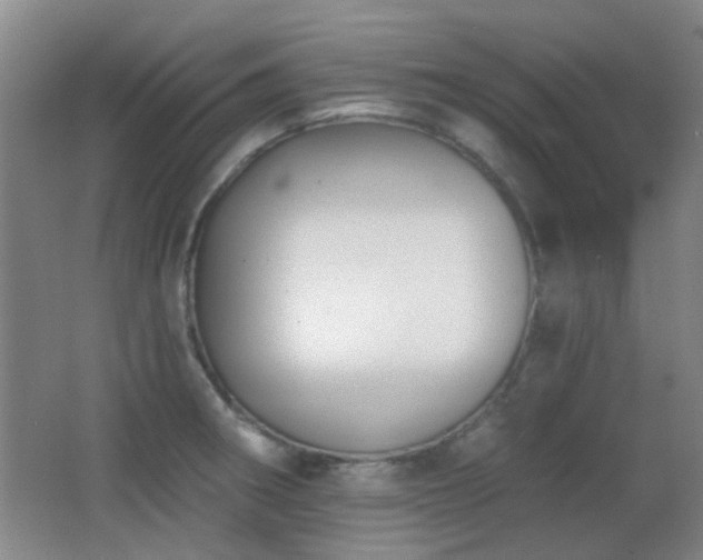 X0000066971282200603241201
