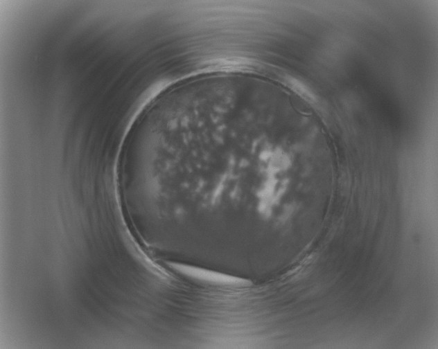 X0000066971283200603241201
