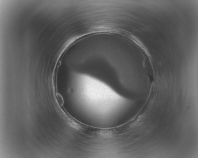X0000066971291200603241201