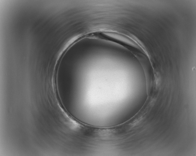 X0000066971293200603241201