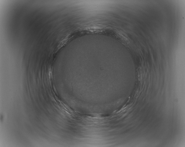 X0000066971298200603241200
