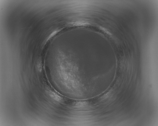 X0000066971306200603241200