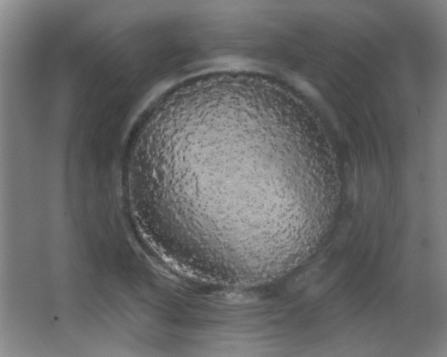 X0000066971318200603241200