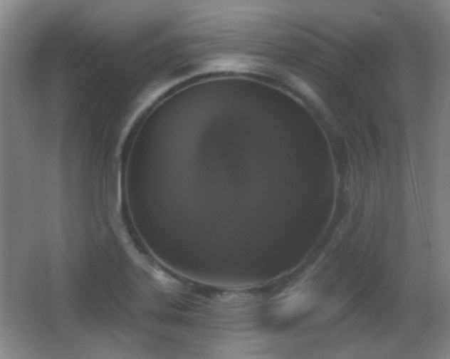X0000066971323200603241200