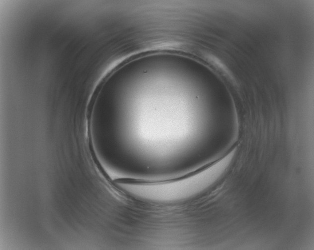 X0000066971324200603241200