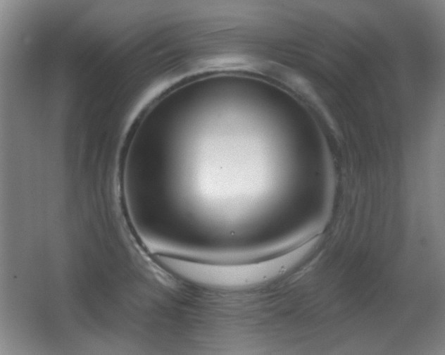 X0000066971328200603241200