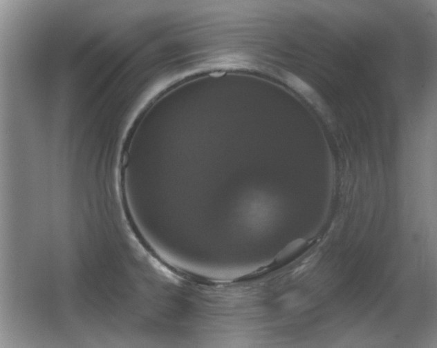 X0000066971334200603241200