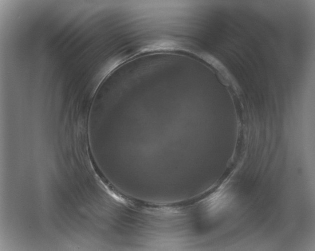 X0000066971337200603241200