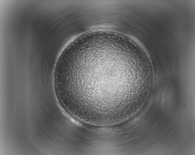 X0000066971341200603241200