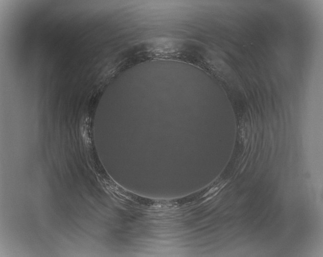 X0000066971346200603241200