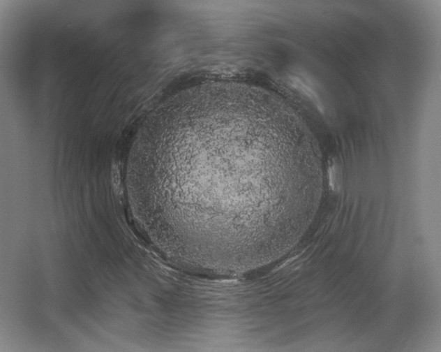 X0000066971347200603241200