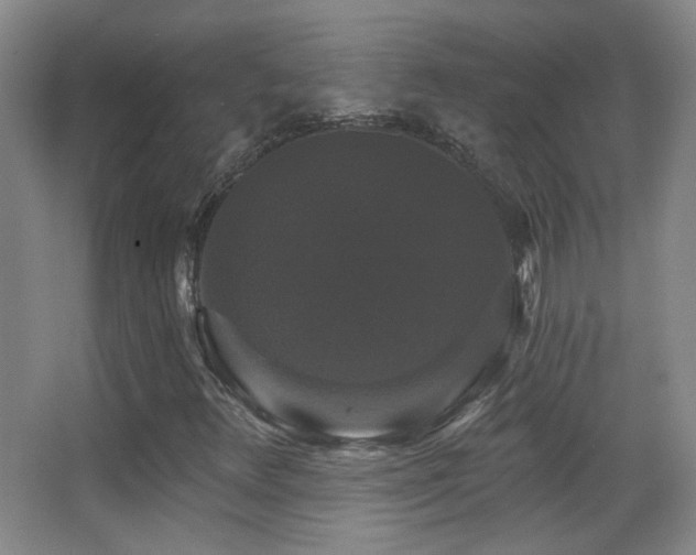 X0000066971348200603241200