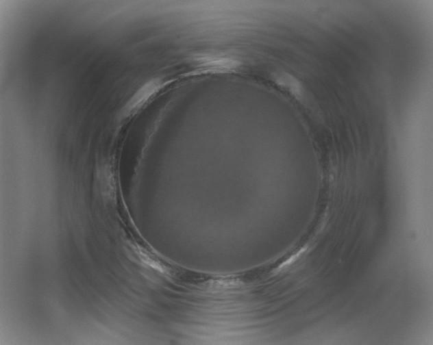 X0000066971354200603241159