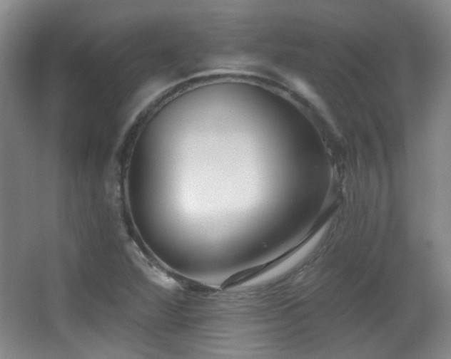 X0000066971360200603241159