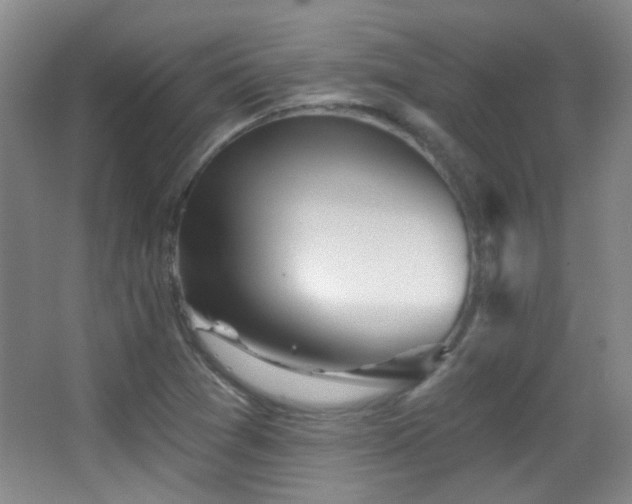 X0000066971361200603241159