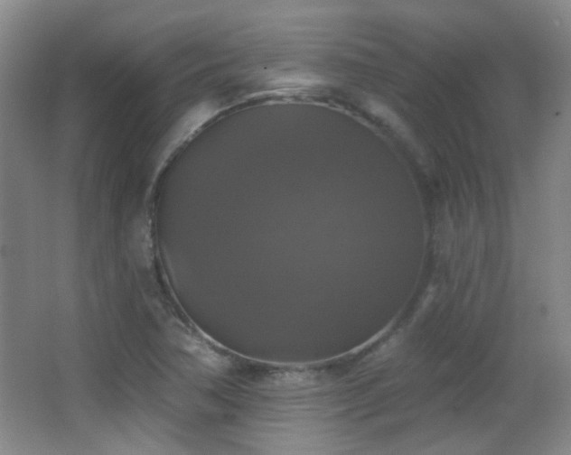 X0000066971362200603241159