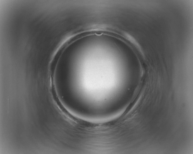 X0000066971368200603241159