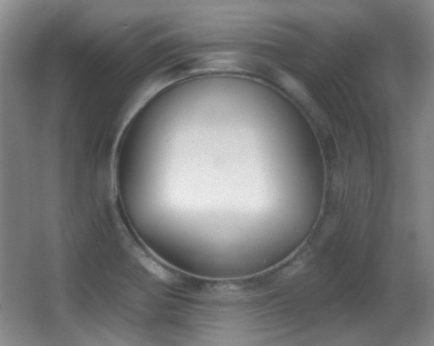 X0000066971370200603241159