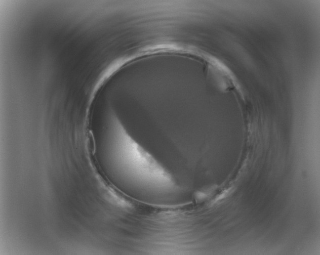 X0000066971373200603241159