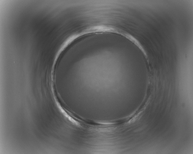 X0000066971381200603241159