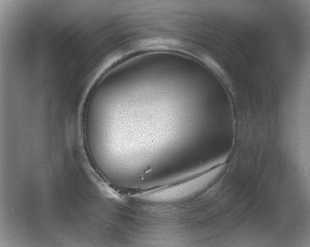 X0000066971384200603241159