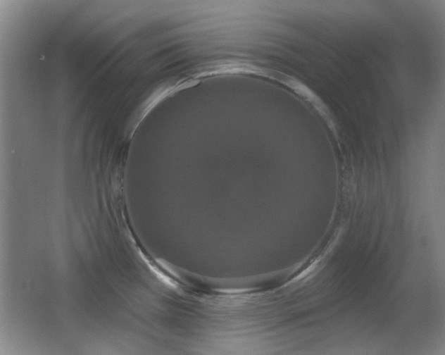X0000066971385200603241159