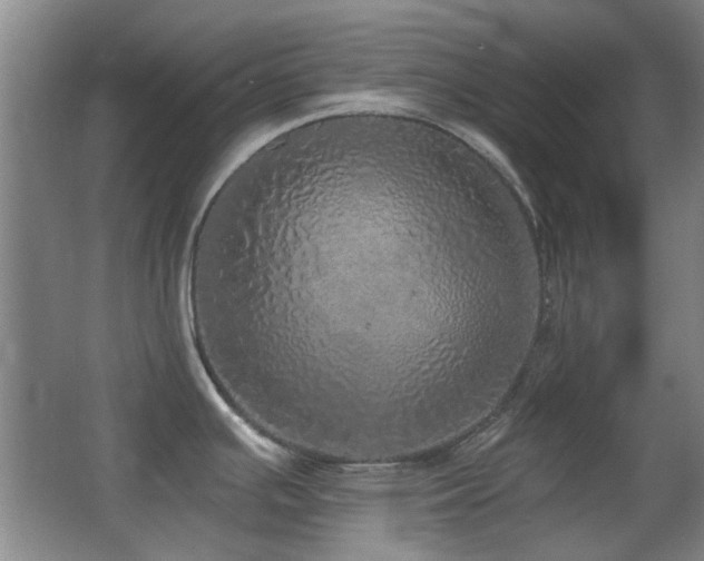 X0000066971391200603241159