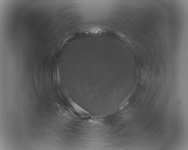 X0000066971394200603241158