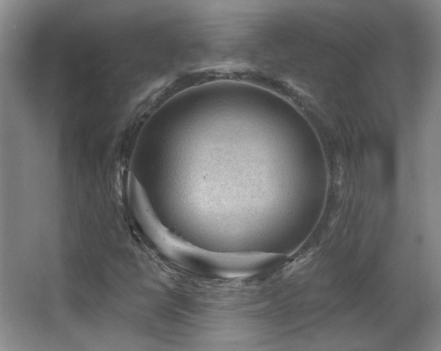 X0000066971398200603241158