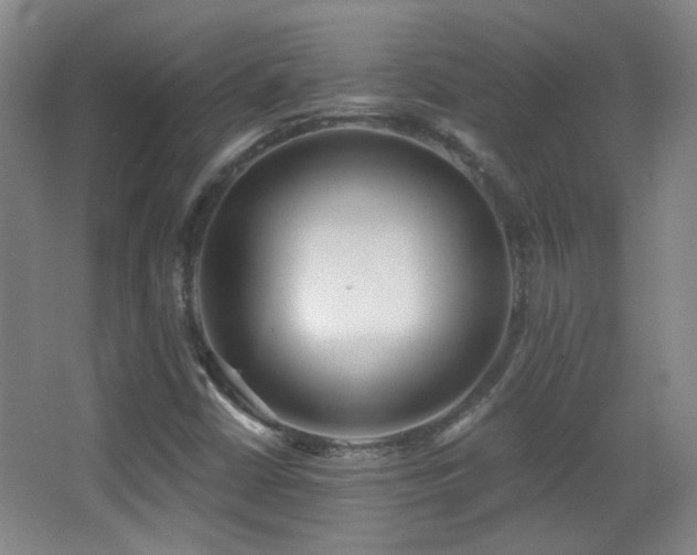 X0000066971402200603241158