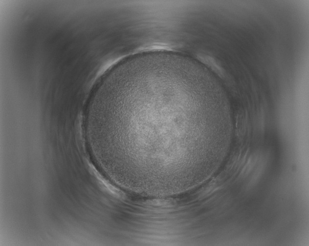 X0000066971404200603241158