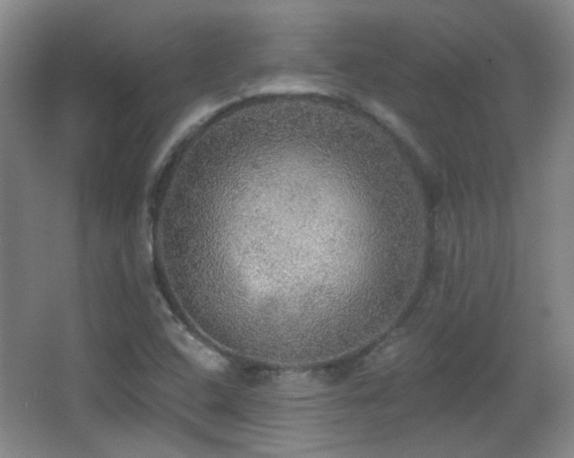 X0000066971408200603241158