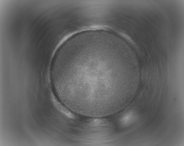 X0000066971412200603241158