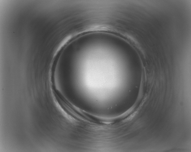 X0000066971422200603241159