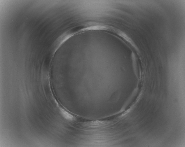 X0000066971425200603241159