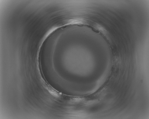 X0000066971427200603241159
