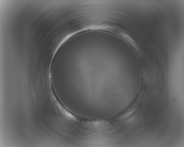 X0000066971428200603241159