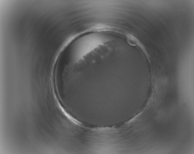 X0000066971429200603241159