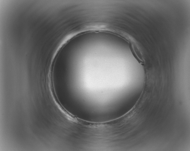 X0000066971432200603241159