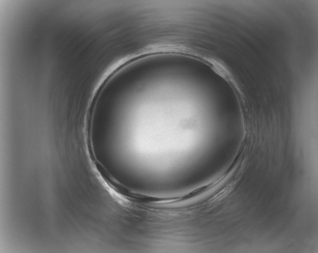 X0000066971438200603241159