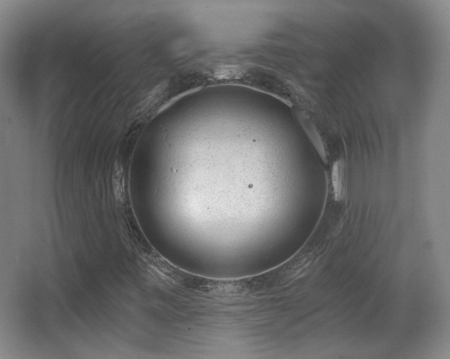 X0000066971443200603241158
