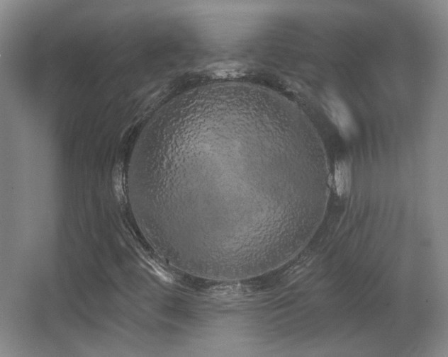 X0000066971444200603241158